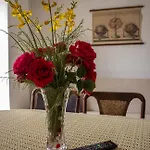 Apartment With Swimming Pool Lopar, Rab - 22978 *